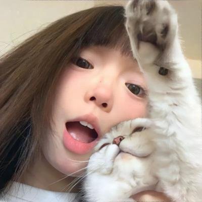 关于哈利的那些事