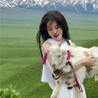 阿奇最终计划